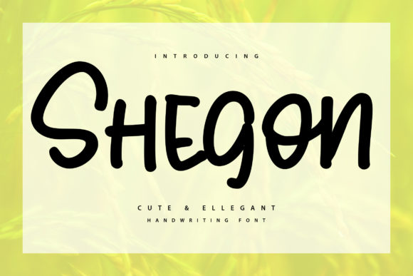 Shegoon: A Bold Display Font for Handmade Creations