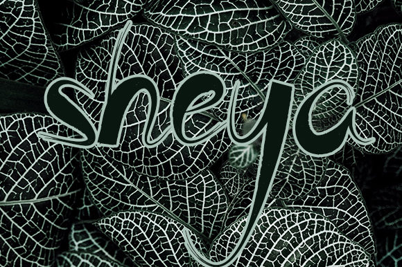 Sheya: The Display Font That Elevates Your Campaigns
